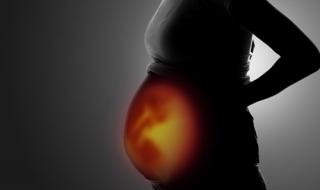 四维彩超报告单 四维彩超报告单