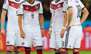 2014篮球世界杯冠军